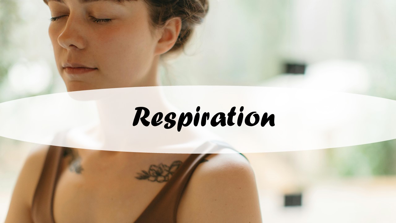 RESPIRATION